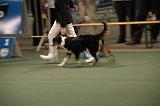IMG_2375