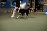 IMG_2376