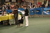 IMG_2379
