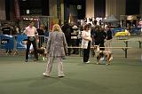 IMG_2382