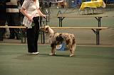 IMG_2387