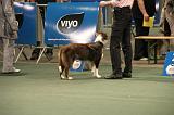 IMG_2388