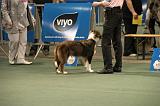 IMG_2389