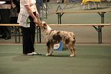 IMG_2390