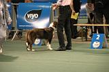 IMG_2391