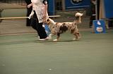 IMG_2392