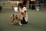 IMG_2395