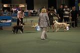 IMG_2399