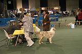 IMG_2401