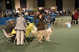 IMG_2402