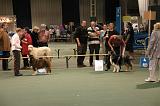 IMG_2403