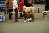 IMG_2404