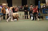 IMG_2408
