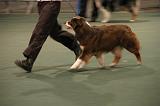 IMG_2415
