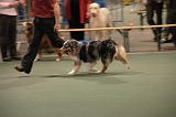IMG_2419