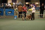 IMG_2426