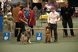 IMG_2428