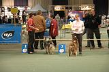IMG_2429