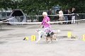 IMG_0041
