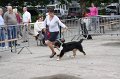 IMG_0051