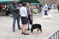 IMG_0053