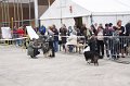 IMG_0054
