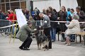 IMG_0056