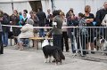IMG_0057