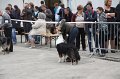 IMG_0058