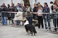 IMG_0064