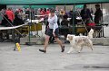 IMG_0067