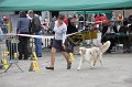 IMG_0069