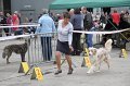 IMG_0071