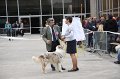 IMG_0072