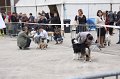 IMG_0073