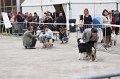 IMG_0074
