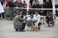IMG_0076