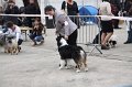 IMG_0077