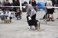 IMG_0078