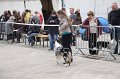 IMG_0079