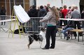 IMG_0084