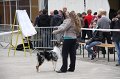 IMG_0086