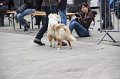IMG_0096