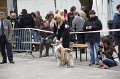 IMG_0099