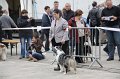 IMG_0102