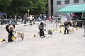 IMG_0104