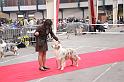 IMG_0029