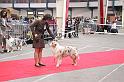 IMG_0033
