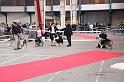 IMG_0036