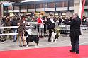IMG_0051